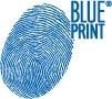 BLUEPRİNT