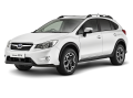 XV