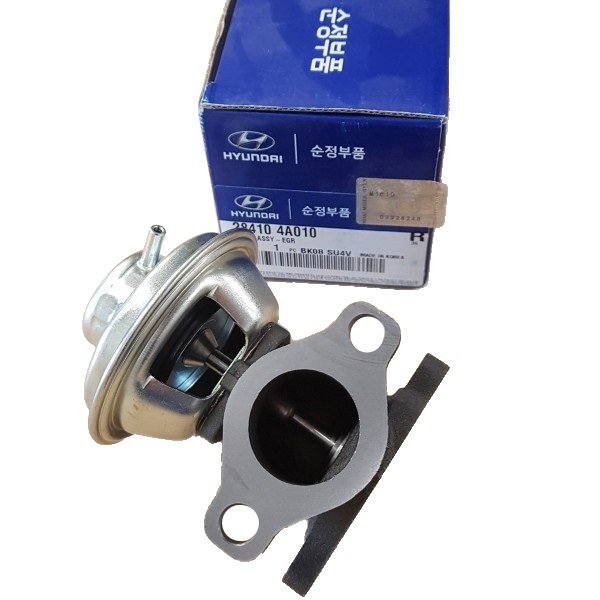 Egr Valfi Starex / Sorento 140HP