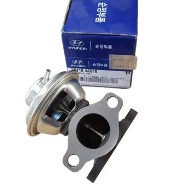 Egr Valfi Starex / Sorento 140HP