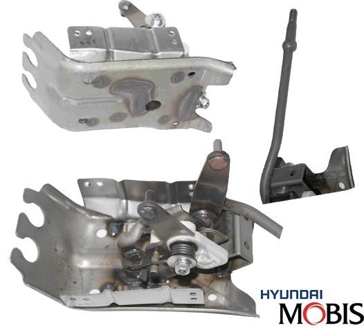 Vites Kol Mekanizması H100