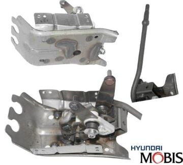 Vites Kol Mekanizması H100